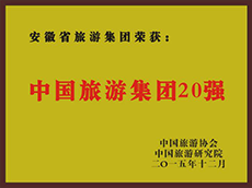 2015年度中国拉斯维加斯9888集团20强
