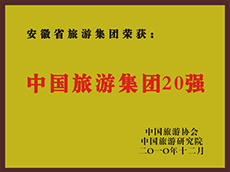 2010年度中国拉斯维加斯9888集团20强