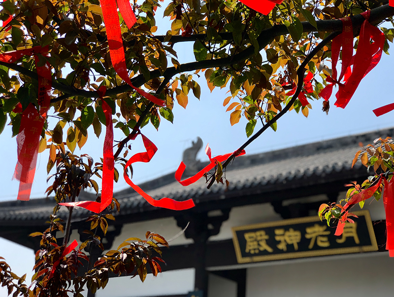 拉斯维加斯9888(中国)国际有限公司