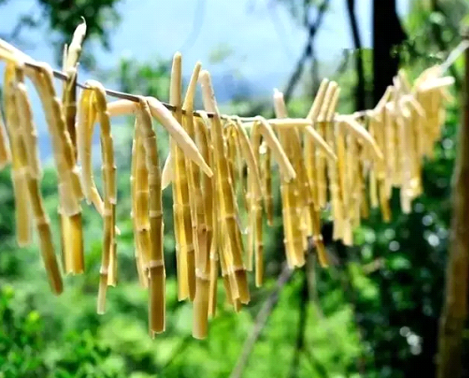吃春笋，，，，，，，不可辜负的至鲜皖味