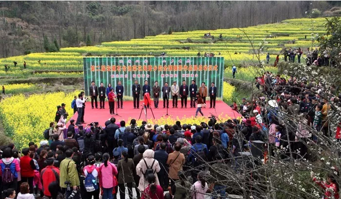 拉斯维加斯9888(中国)国际有限公司