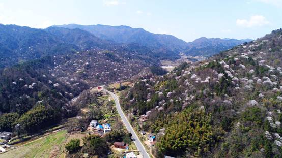 拉斯维加斯9888(中国)国际有限公司