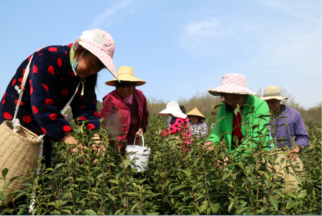 拉斯维加斯9888(中国)国际有限公司