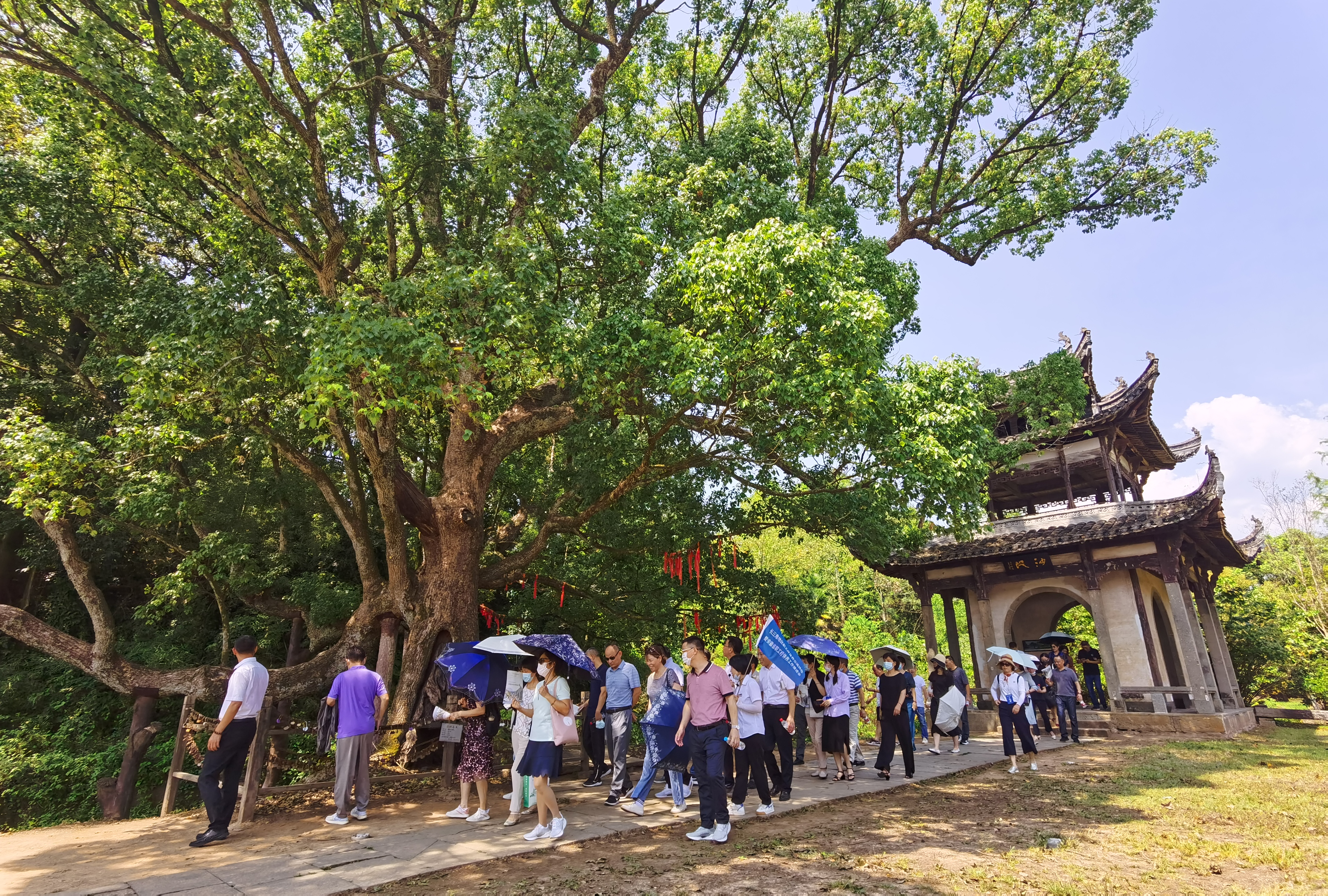 拉斯维加斯9888(中国)国际有限公司