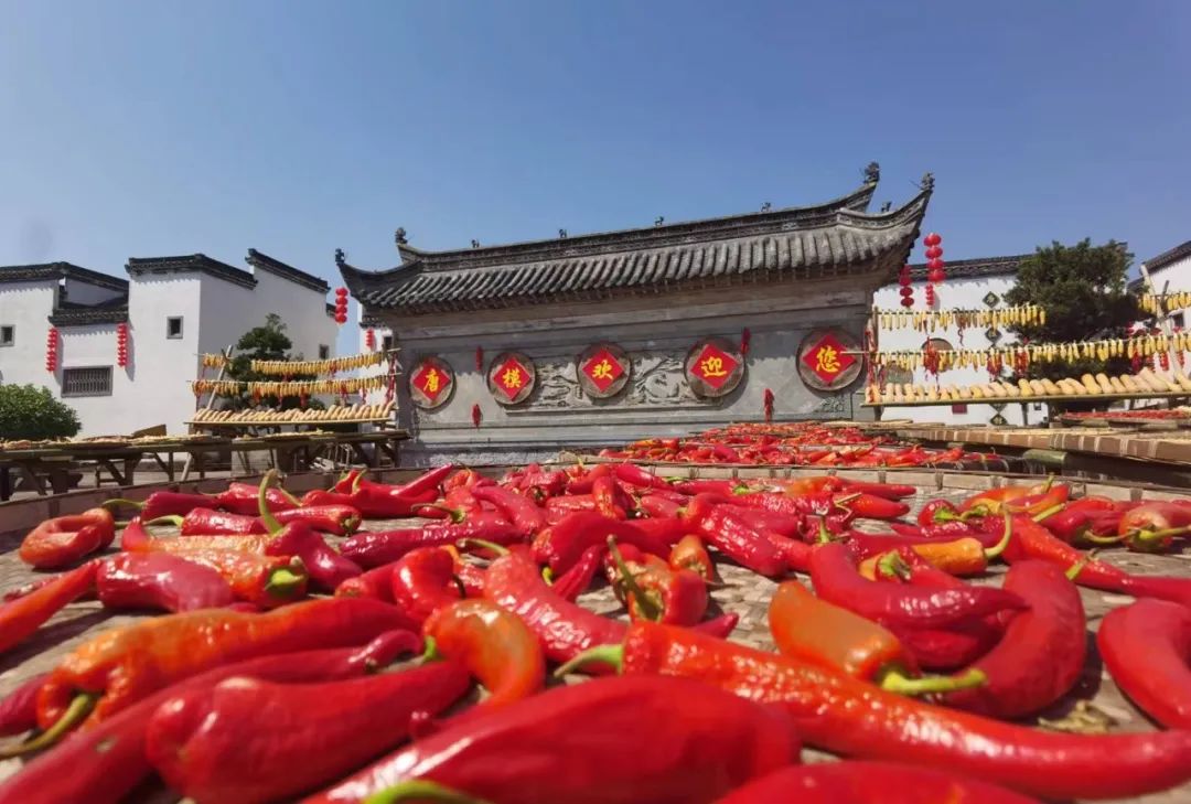 拉斯维加斯9888(中国)国际有限公司