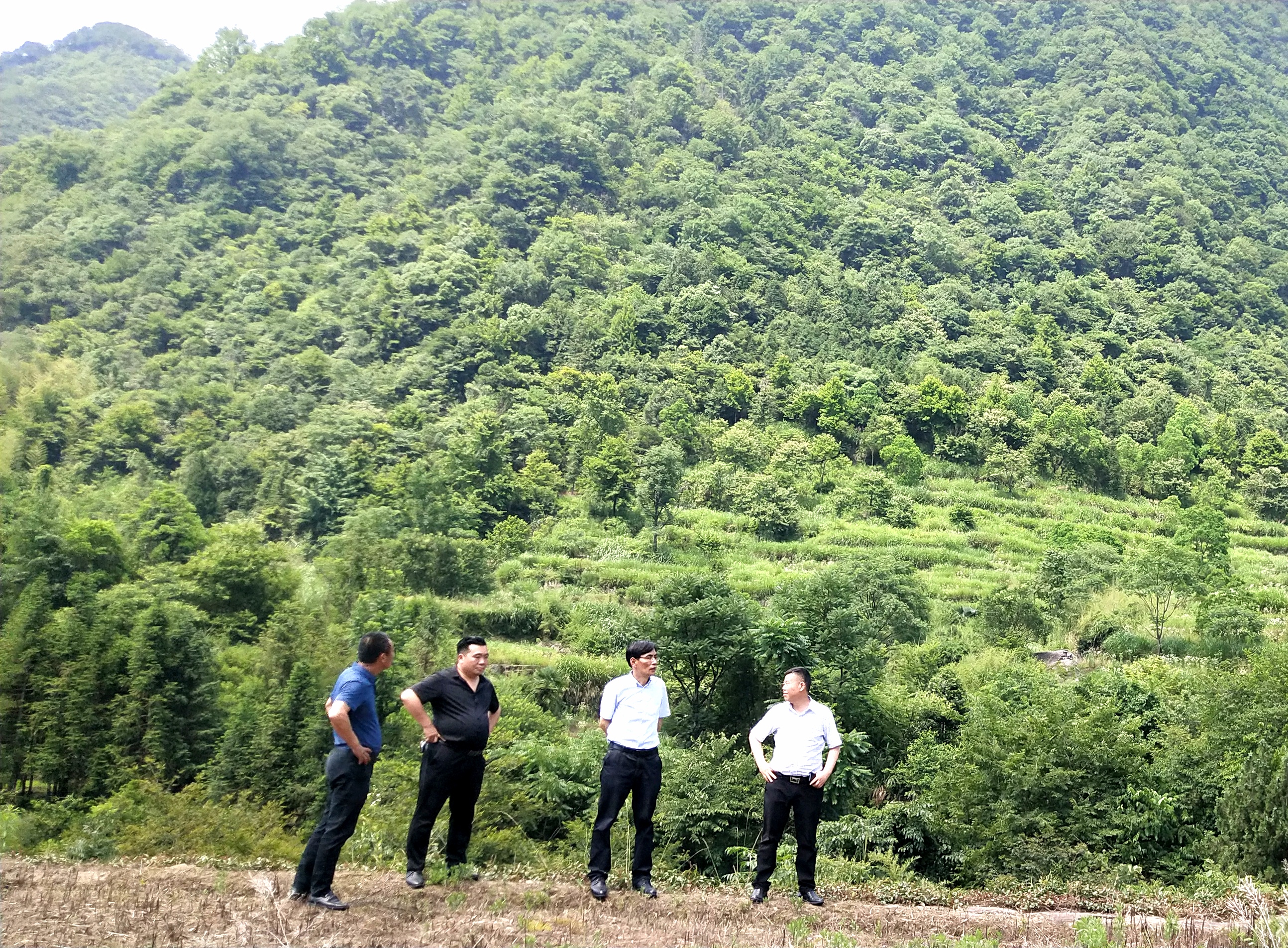 拉斯维加斯9888(中国)国际有限公司