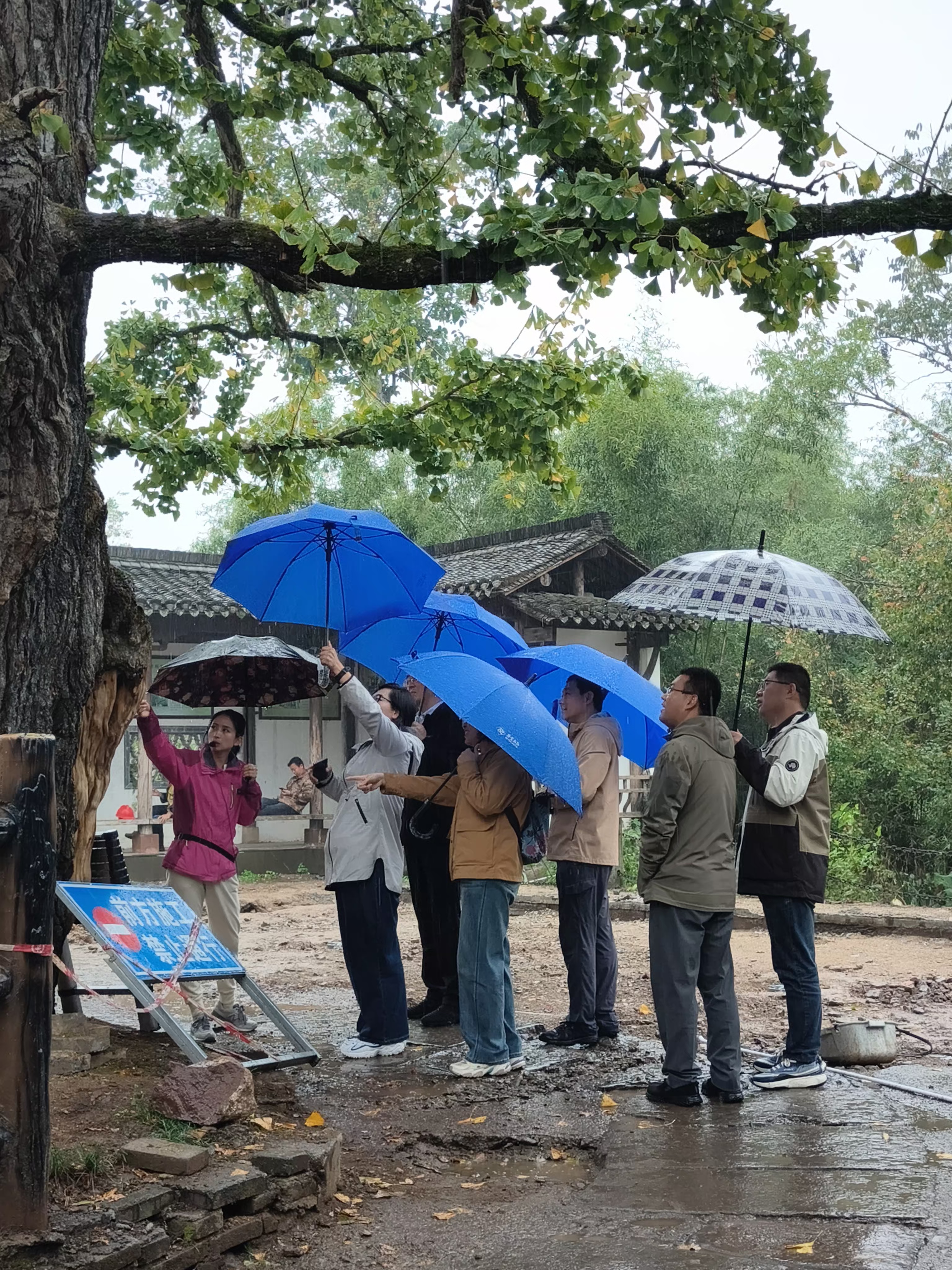 拉斯维加斯9888(中国)国际有限公司