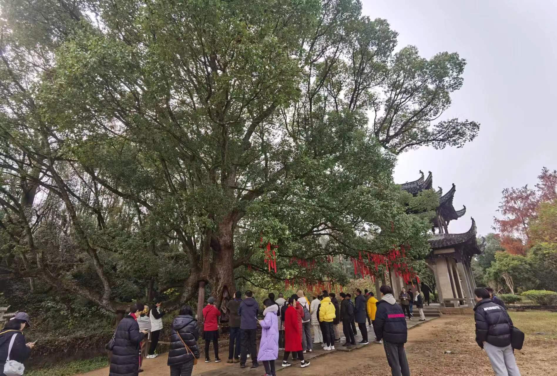 拉斯维加斯9888(中国)国际有限公司